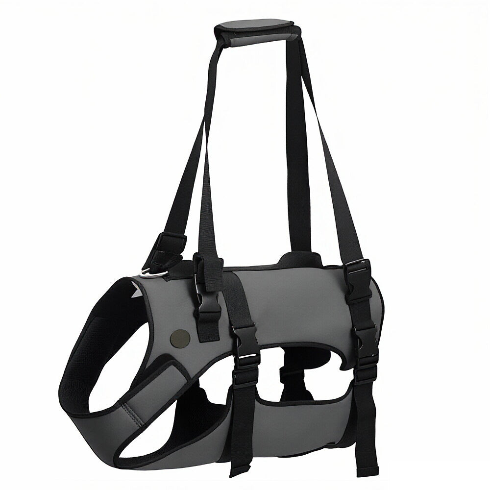 Sonimint Support Harness