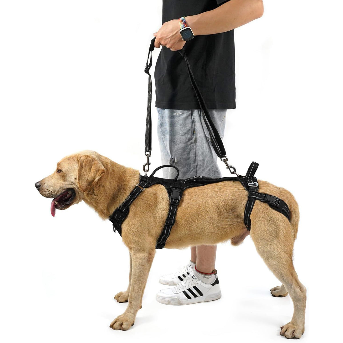 Sonimint Support Harness